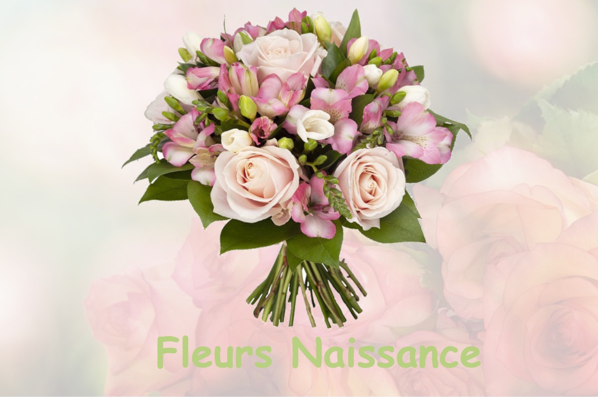 fleurs naissance TOURNEFORT