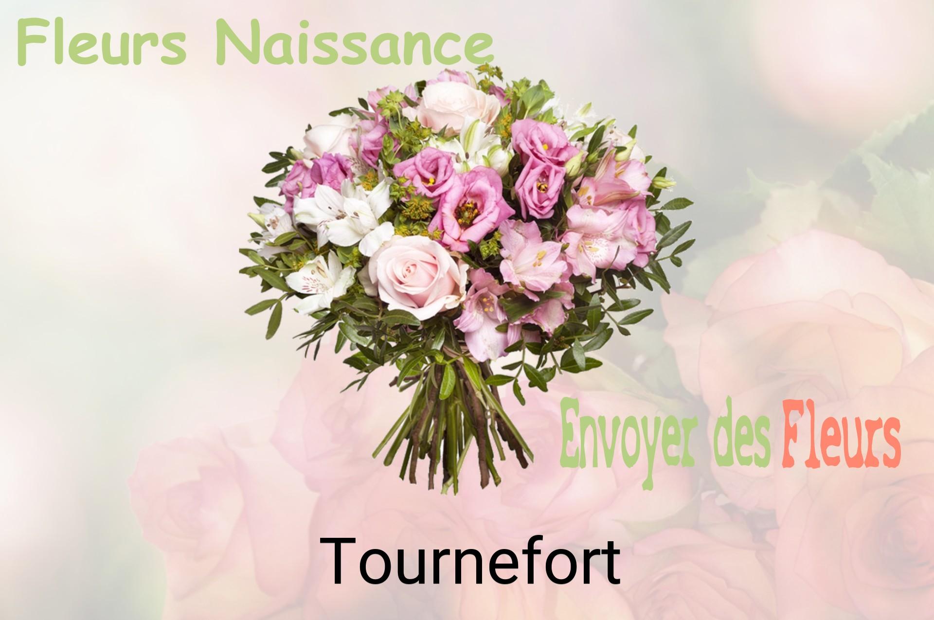 Bouquet de fleurs de naissance livré à Tournefort