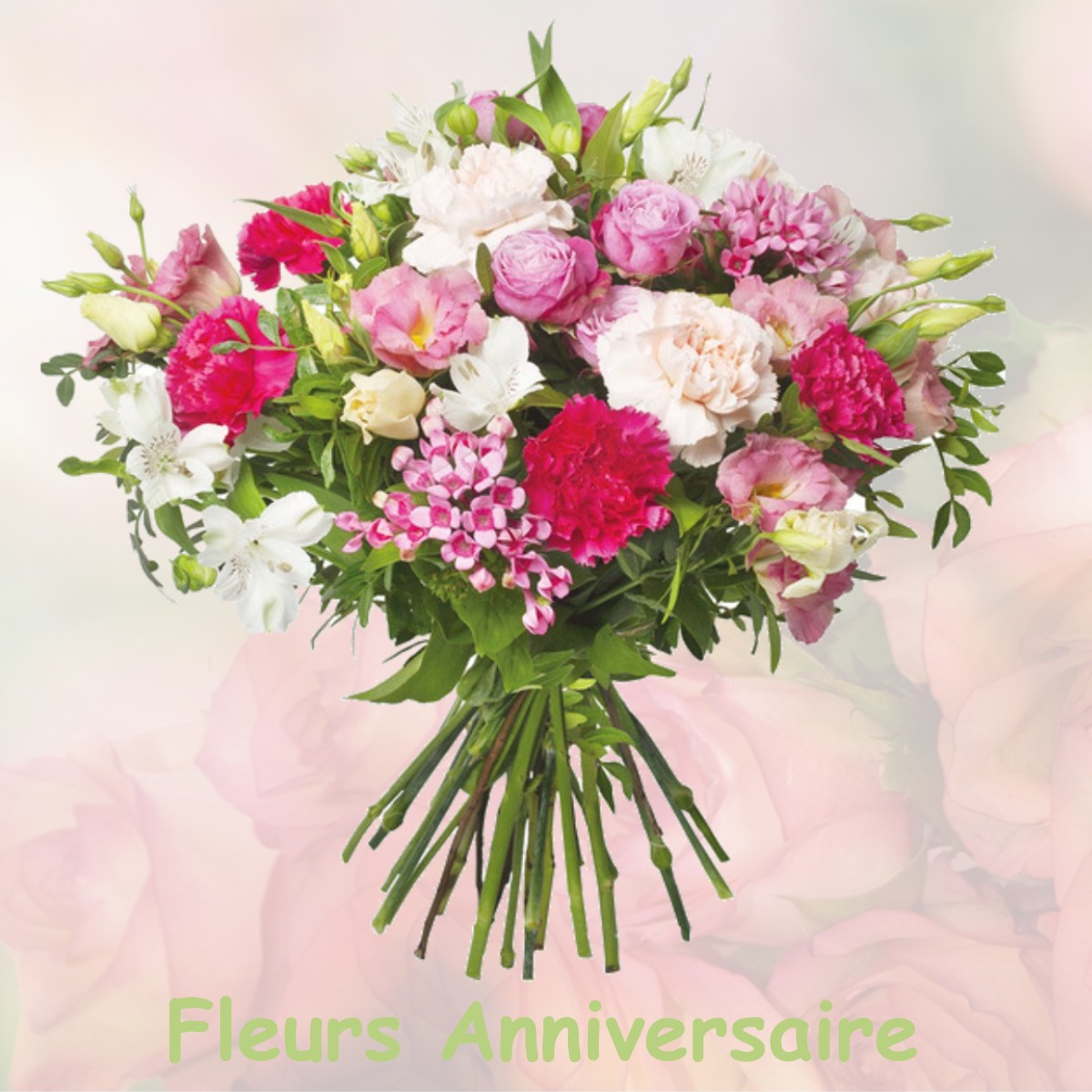 fleurs anniversaire TOURNEFORT