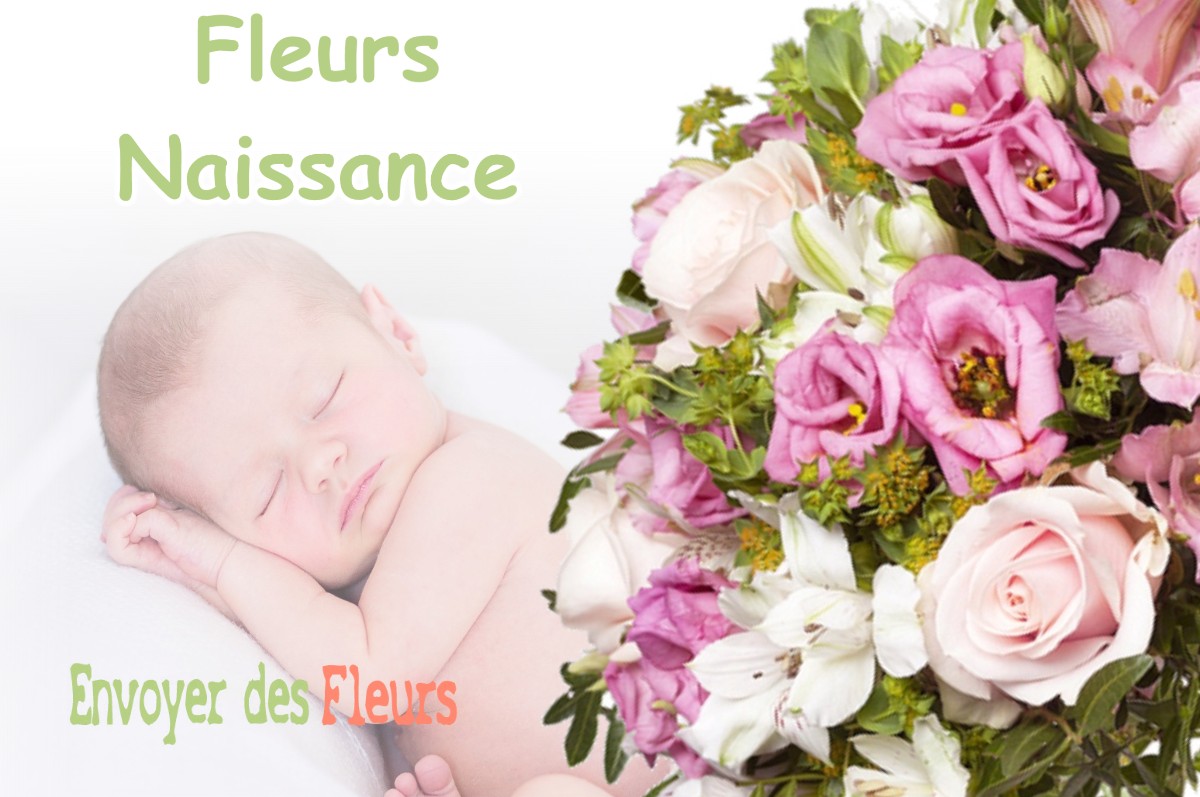 lIVRAISON FLEURS NAISSANCE à TOURNEFORT